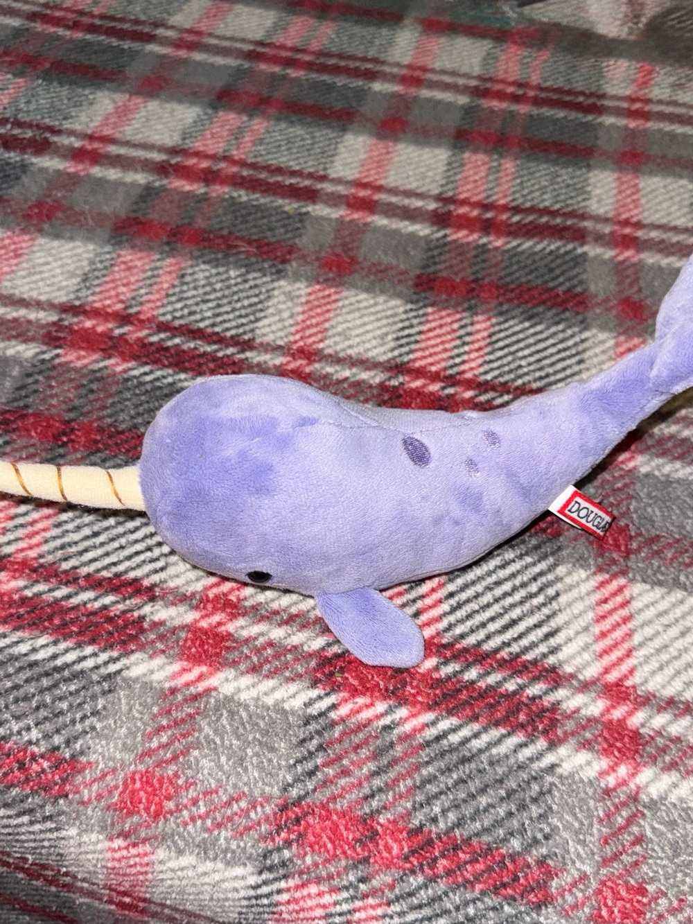 Douglas Cuddle Toys Narwhal Whale Stuffed Animal Soft Plush 2019 - Picture 6 of 7